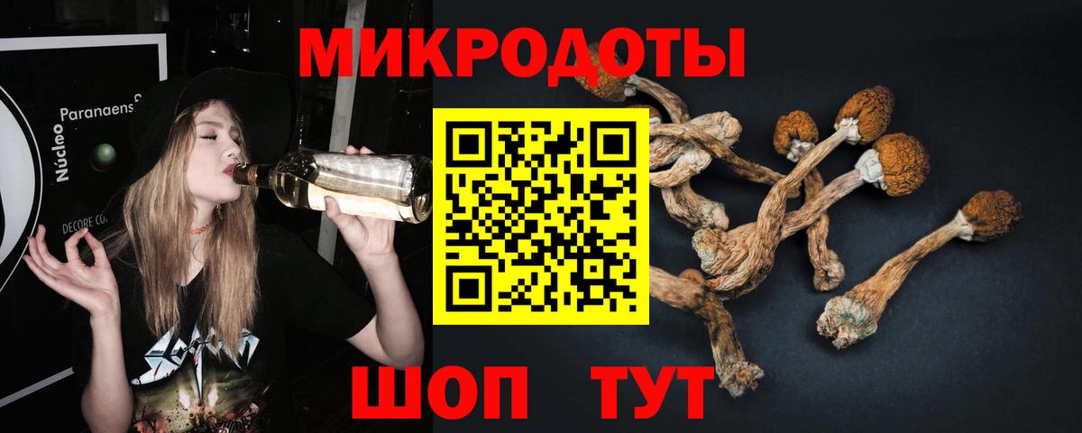 Галлюциногенные грибы Psilocybe  Псилоцибиновые грибы Psilocybe  Вход с VPN  Новочеркасск 